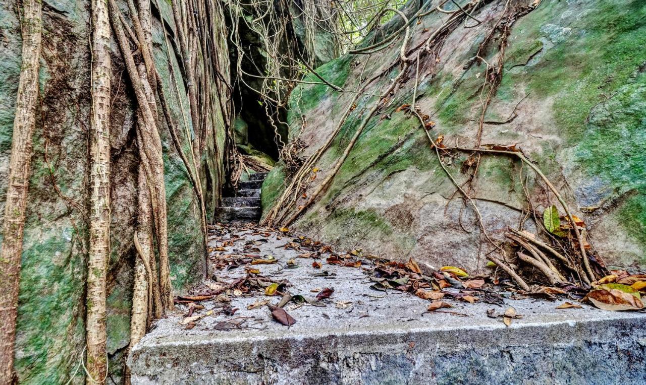 Treebo Tryst Jathika Resorts Кожикоде Екстер'єр фото