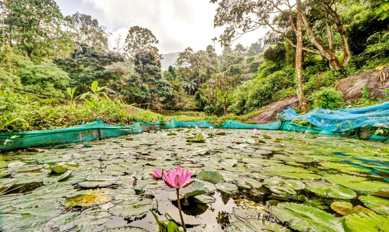 Treebo Tryst Jathika Resorts Кожикоде Екстер'єр фото