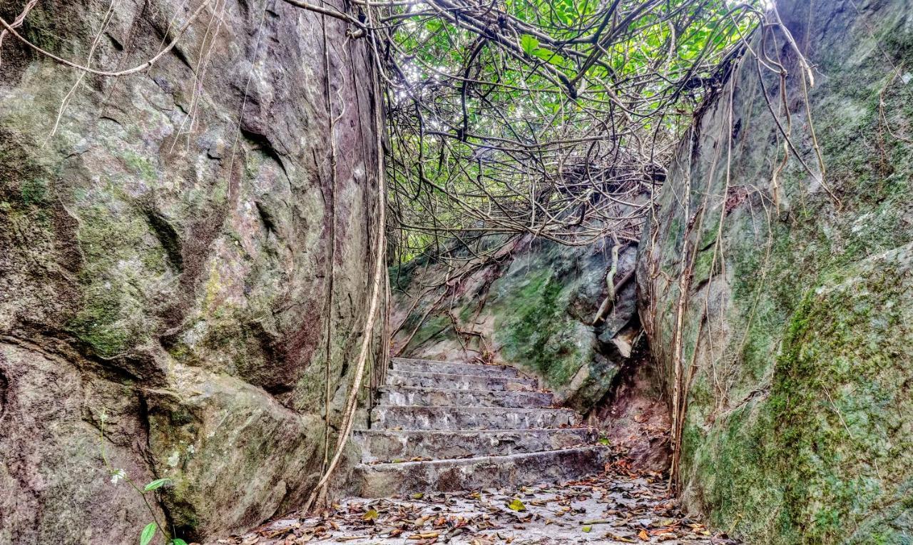 Treebo Tryst Jathika Resorts Кожикоде Екстер'єр фото