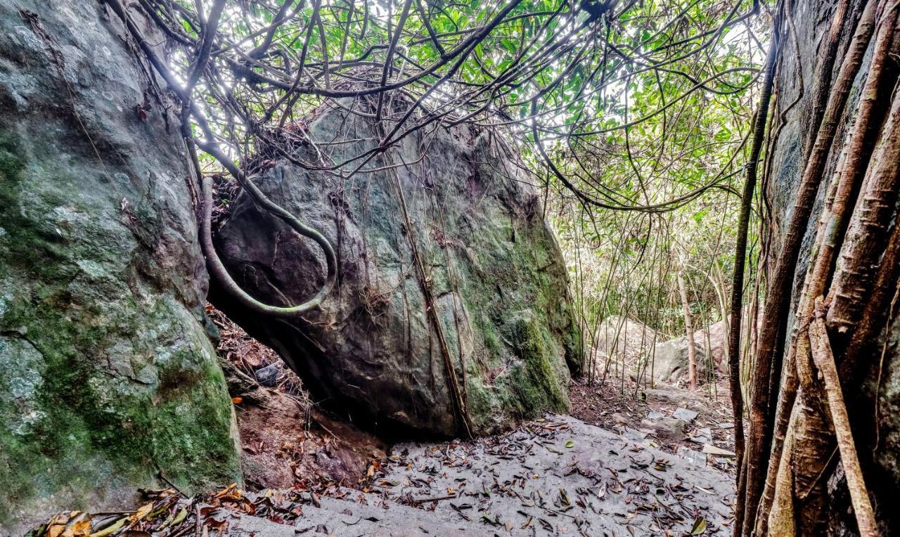 Treebo Tryst Jathika Resorts Кожикоде Екстер'єр фото